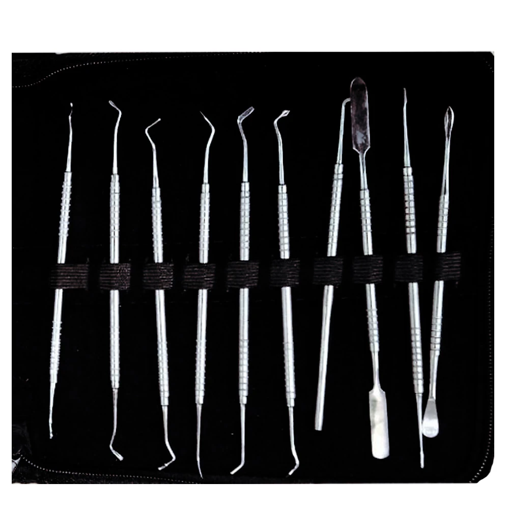 Dr Steve Conservative Instrument Kit (Set of 20)