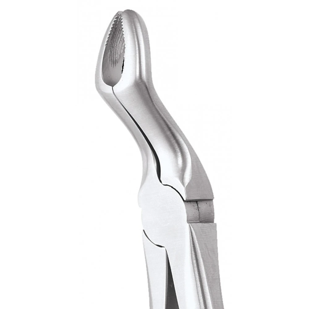 GDC Extraction Forceps Upper Third Molars - 67a Ergonomic (Fx67ae)