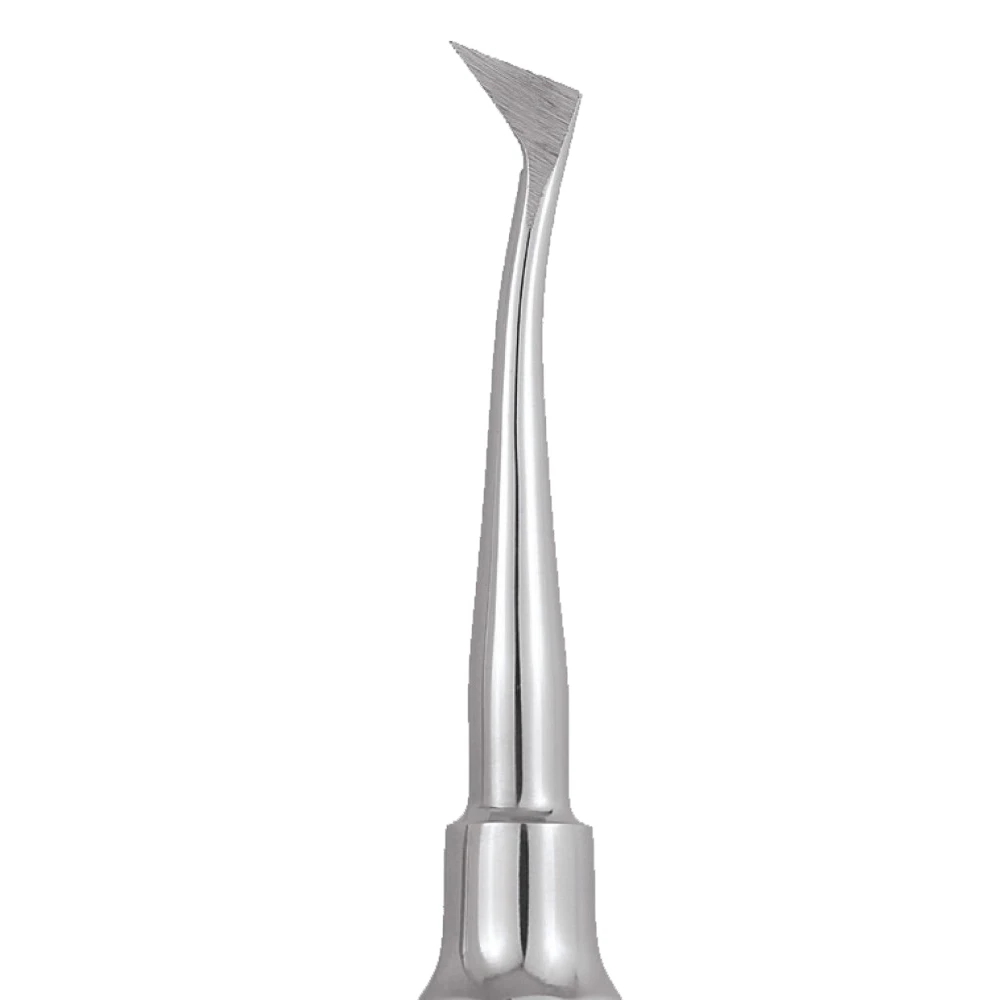 GDC Root Elevators Cryer - Right Standard (Ea31)