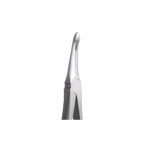 GDC Extraction Forceps Secure