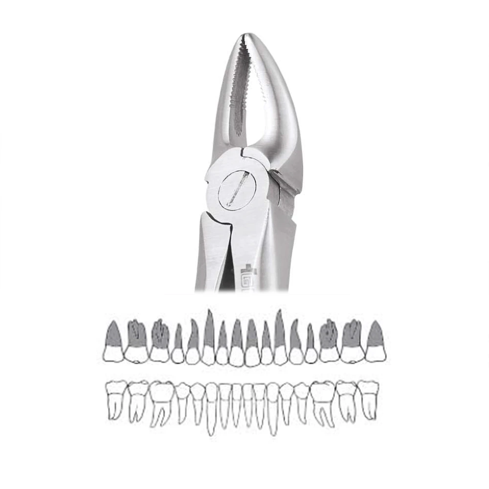 GDC Extraction Forceps Upper Roots - 30 Premium (Fx30P)