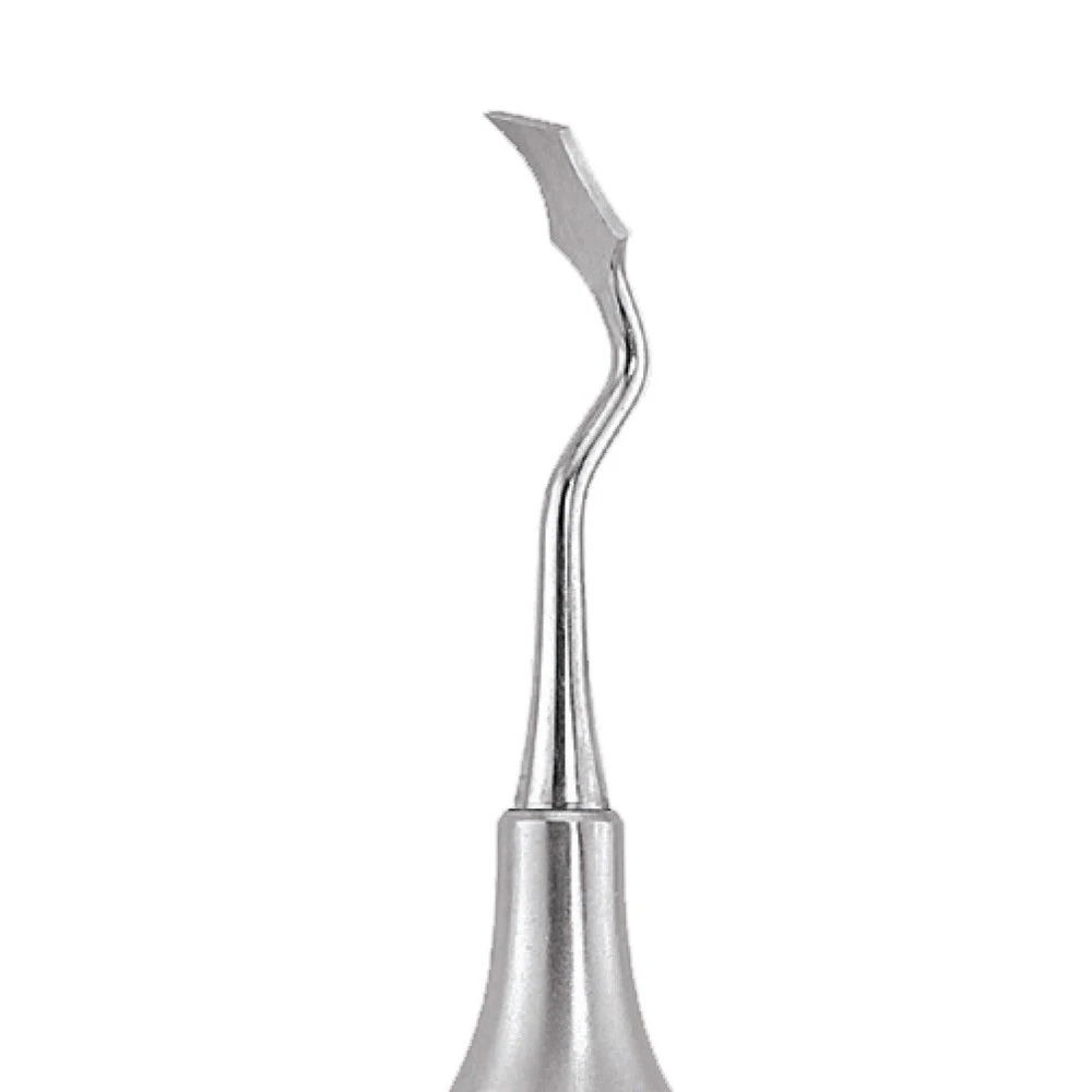 GDC Rhodes Back Action Chisel # 6 (C36/37)