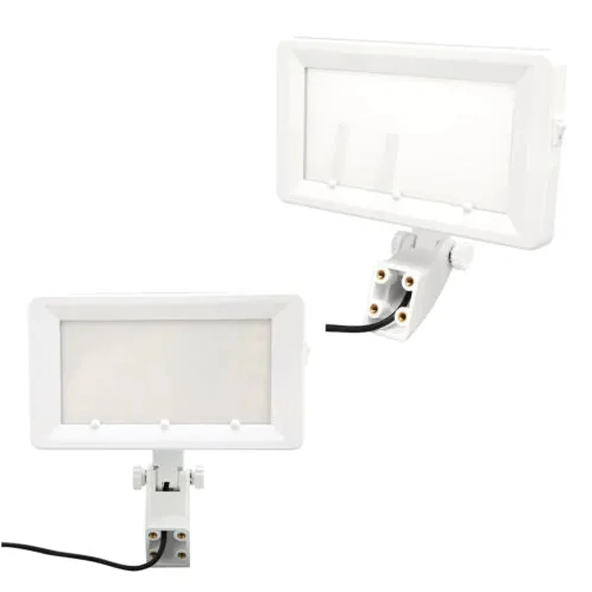 Confident Dental X-Ray Viewer Imported - BTM53